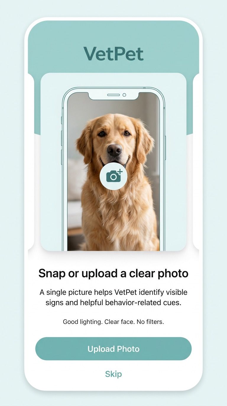 VetPet onboarding upload screen