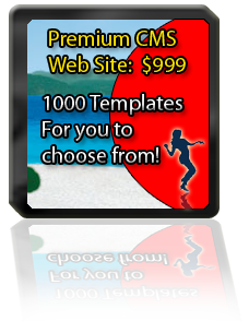 Premium CMS Web Site